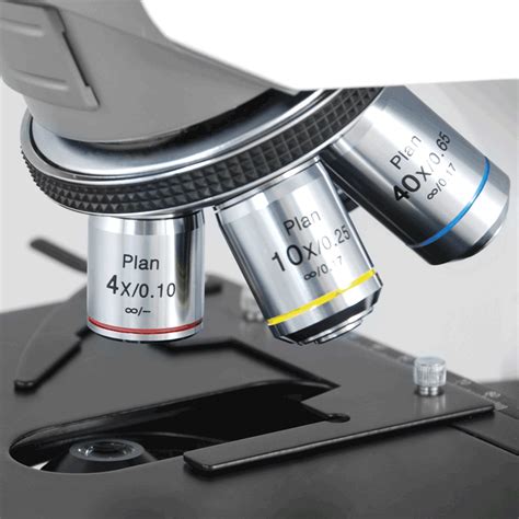 microscope objective lenses|Objective Lenses .